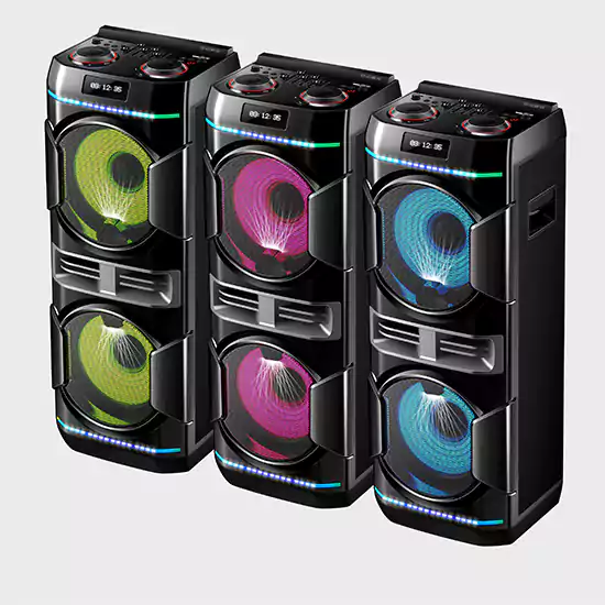 RGB Dual 10 Party Speaker